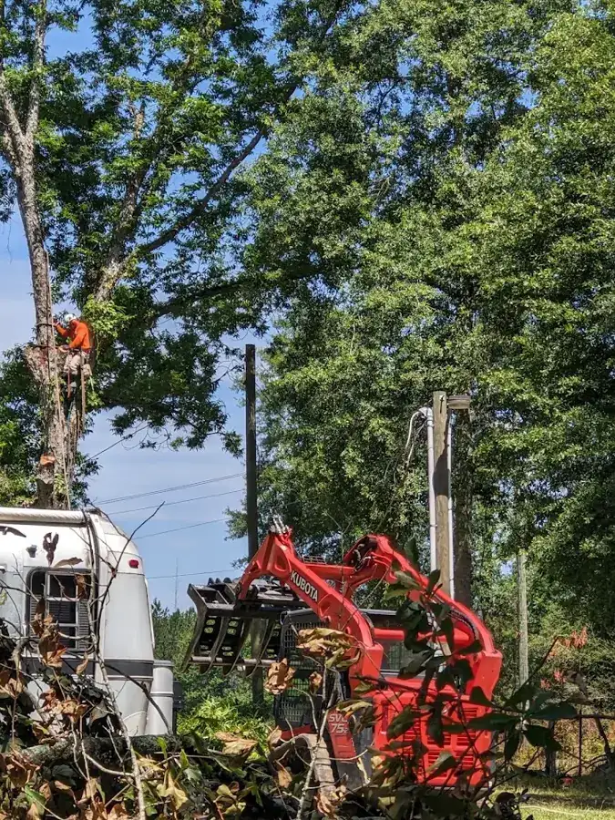 Falcon Tree Service equipment at a job site